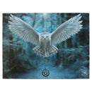 Canvas Art Print - Awake your Magic by Anne Stokes-Home/Altar-Kheops-The Bat Witch Cavern