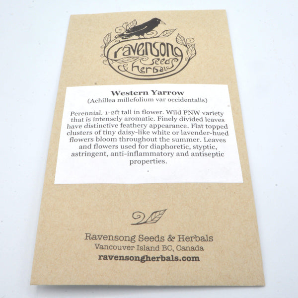 Western Yarrow Seeds-Scents/Oils/Herbs-RavenSong-The Bat Witch Cavern