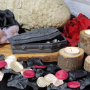 Trinket Dish - Gargoyle Coffin - (6.25" Length)